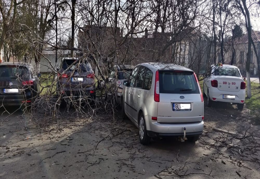 Copac căzut peste mașini din cauza vântului în municipiul Galați