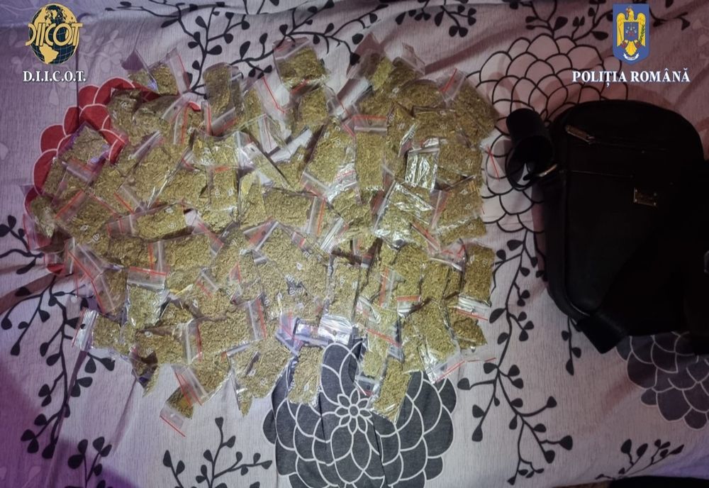 Percheziții domiciliare pe raza județelor Buzău, Galați și Brăila într-o cauză vizând comiterea infracțiunilor de trafic de droguri de risc