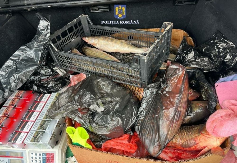 Acțiuni desfășurate la începutul lunii martie de polițiști din cadrul Secției Regionale de Poliție Transporturi Galați – Biroul de Poliție Transporturi Navale Galați 