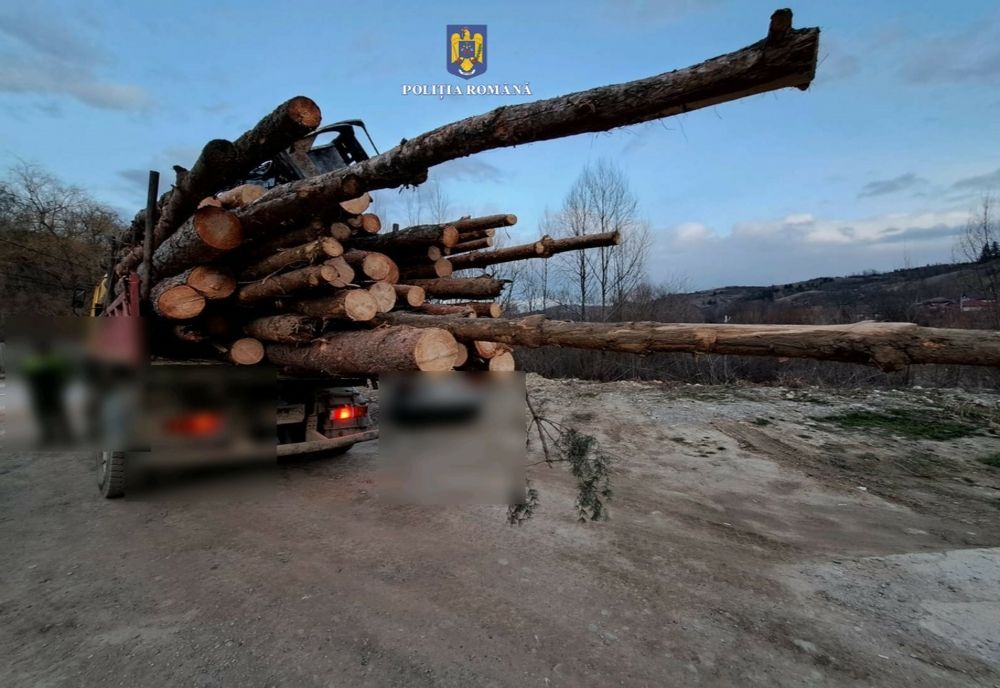 Polițiștii din cadrul Secției Regionale de Poliție Transporturi Galați au dispus confiscare valorică a cantității de 480 mc. de material lemnos