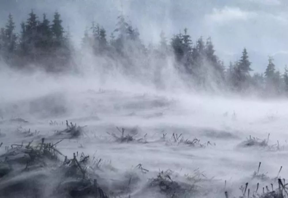 Cod galben de ninsori și viscol în mai multe județe. Zonele unde se va depune strat de zăpadă - HARTA