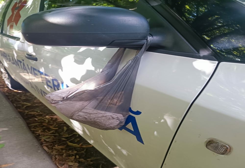 Un gălățean de 74 de ani a lăsat un pisic într-o pungă de plastic atârnată de oglinda unei ambulanțe veterinare