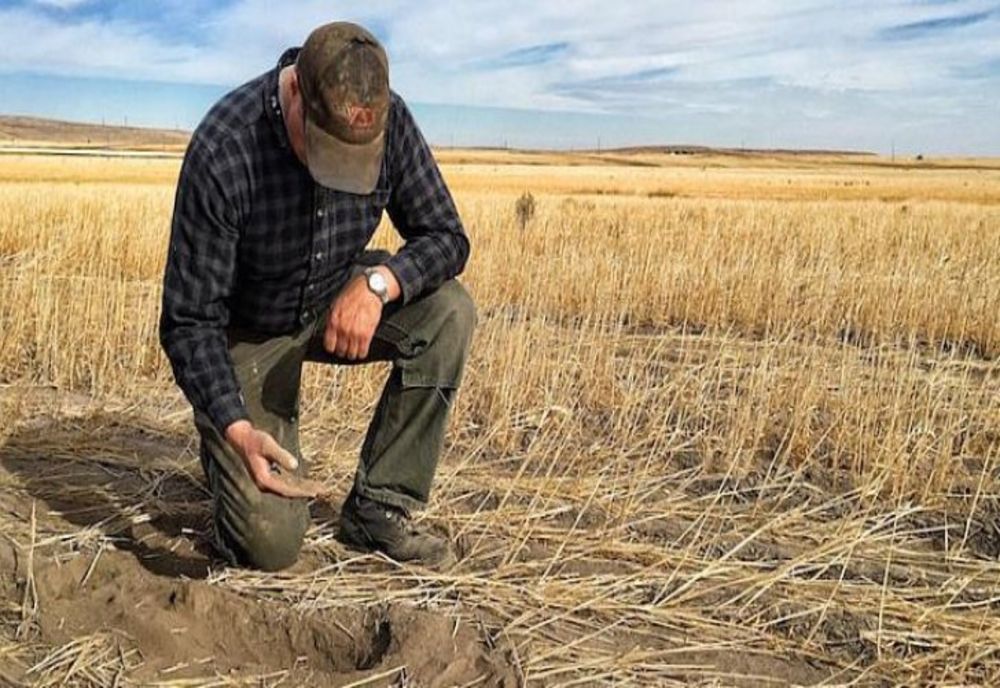 DIRECȚIILE JUDEȚENE PENTRU AGRICULTURĂ PRIMESC CERERI DE LA FERMIERII AFECTAȚI DE SECETĂ