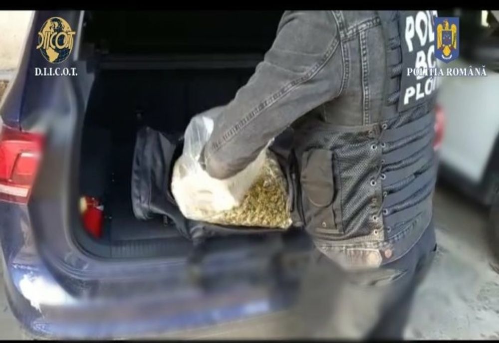 PROCURORII DIICOT AU PRINS UN BĂRBAT CARE A ADUS ÎN ŢARĂ 10 KILOGRAME DE CANABIS PRINTR-O FIRMĂ DE CURIERAT