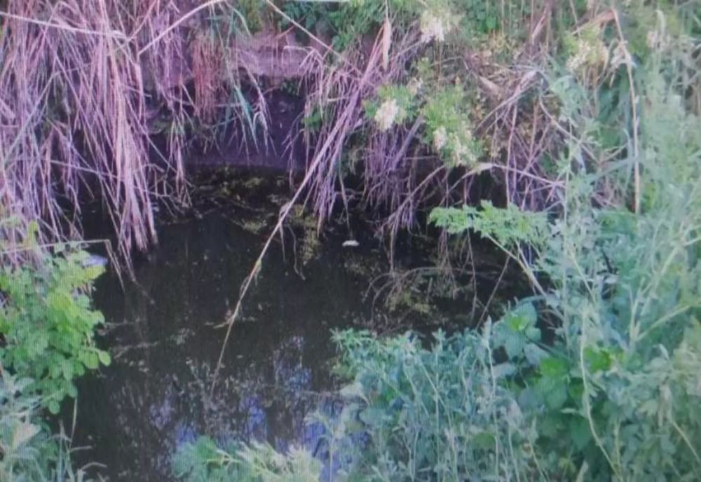 TRAGEDIE ÎN JUDEȚUL GALAȚI: UN COPIL DE CINCI ANI S-A ÎNECAT DUPĂ CE A CĂZUT ÎNTR-UN PUȚ DE PE UN TEREN DIN APROPIEREA CASEI