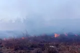 Belgia se confruntă cu cel mai grav incendiu de vegetaţie din ultimii 30 de ani