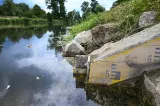 Debitul Dunării la intrarea în România scade la un minim îngrijorător. Avertismentul hidrologilor