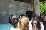 Repartizarea absolvenţilor de clasa a VIII-a la liceu este programată în zilele de 17 şi 18 august