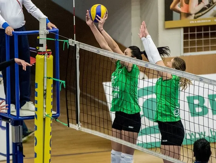 volei6