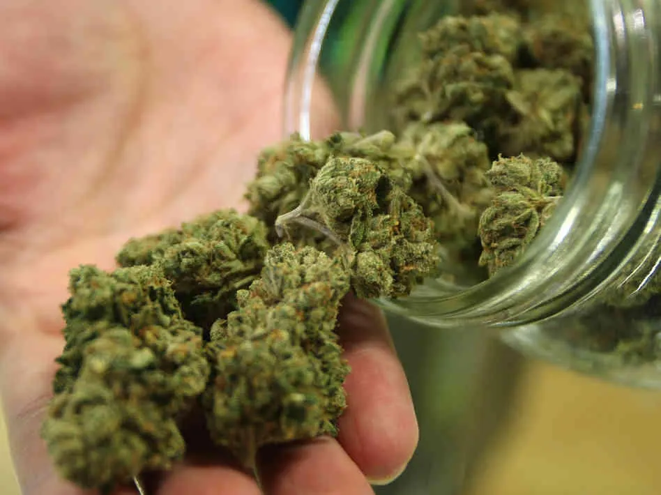 marijuana (1)