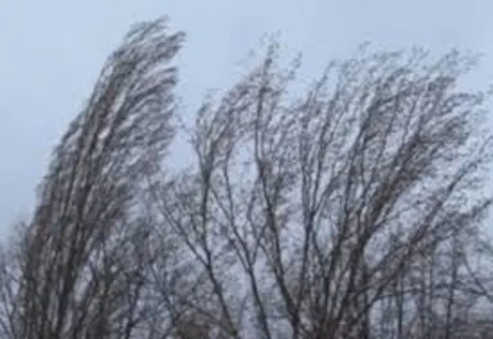 Informare meteo de intensificări ale vântului