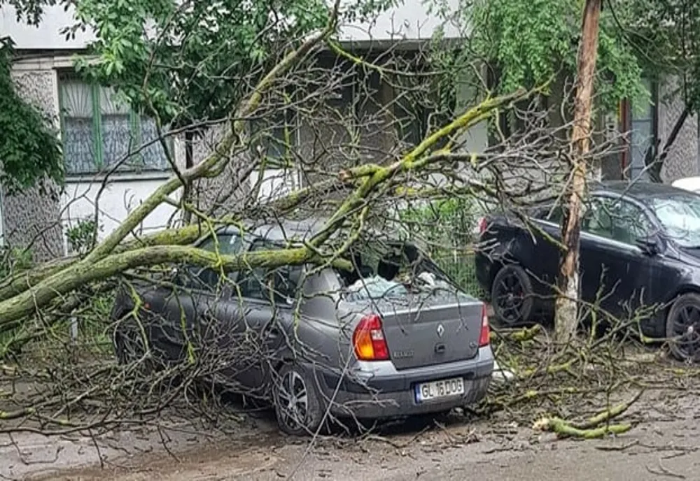 Copaci căzuți peste mașini în Galați