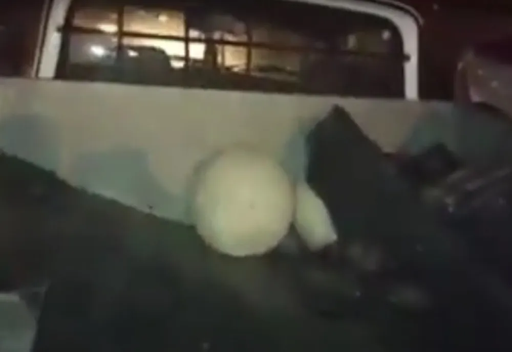 Video: Prins de Poliția Locală Galați cu materiale furate de pe șantierele din municipiu