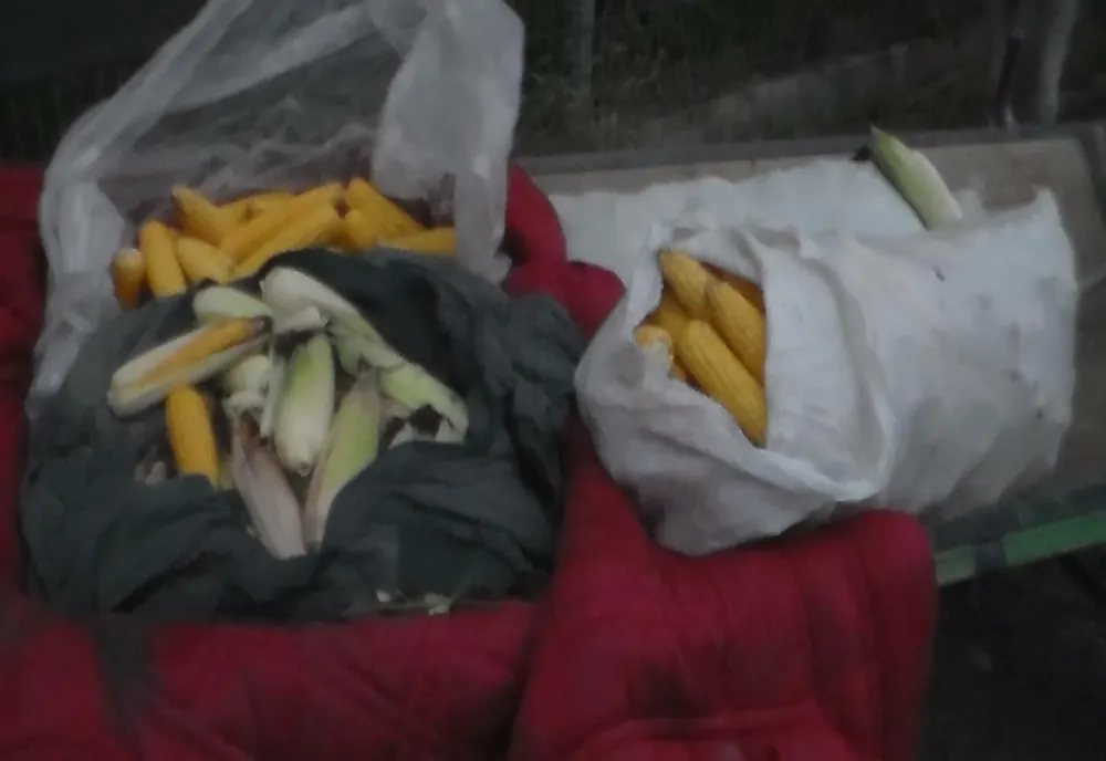 Dosar penal pentru tentativă de furt