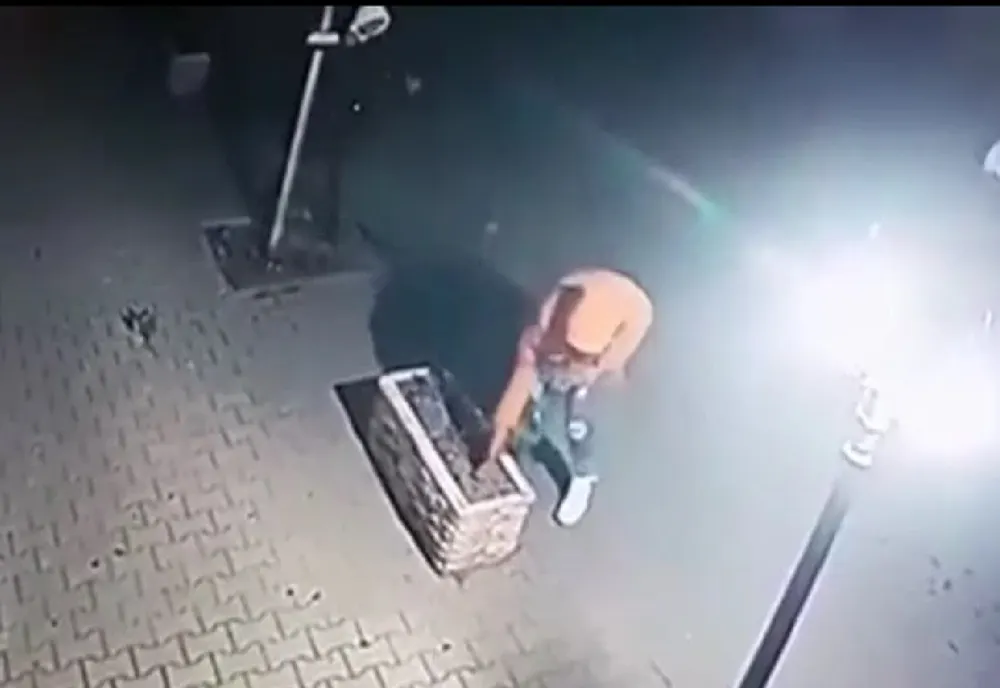 Șapte minori din Tecuci au vandalizat mobilierul urban, stâlpii de iluminat, copacii și florile de pe o stradă
