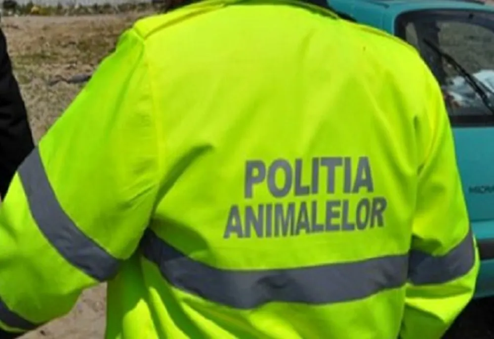 Atenție! Imagini cu un puternic impact emoțional
