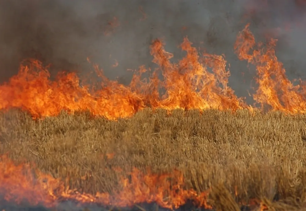 Prevenirea incendiilor la recoltarea păioaselor