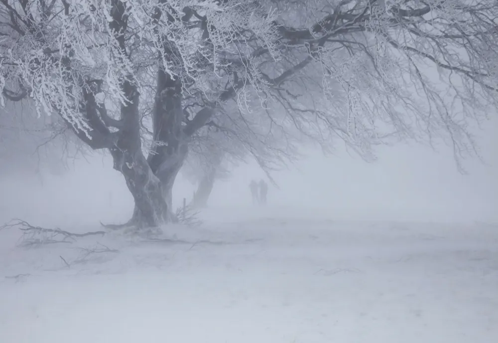 Prognoza meteo actualizată: Cod portocaliu de vânt și ninsori