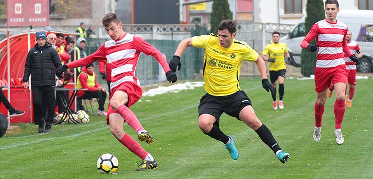 cirjan-otelul-galben