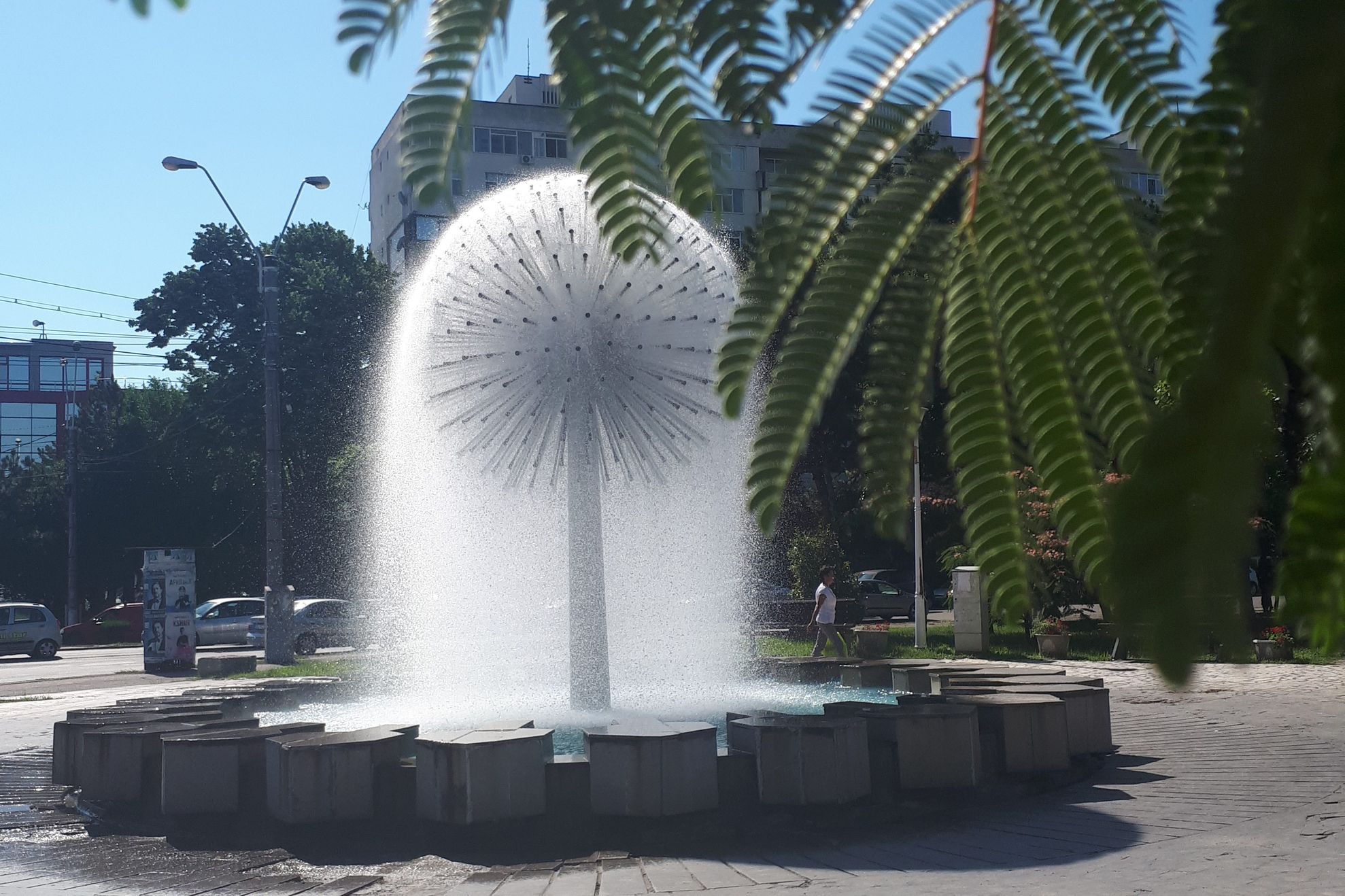 fantana arteziana canicula