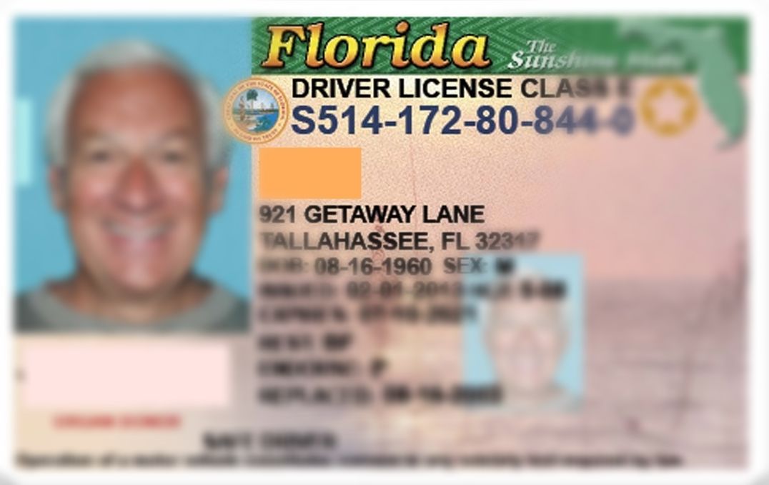 Florida-Drivers-License-ORIGINAL-B