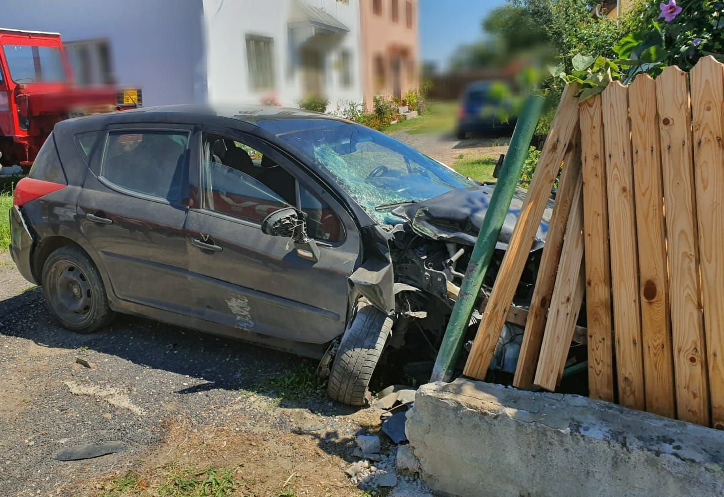 carne si produse din carne