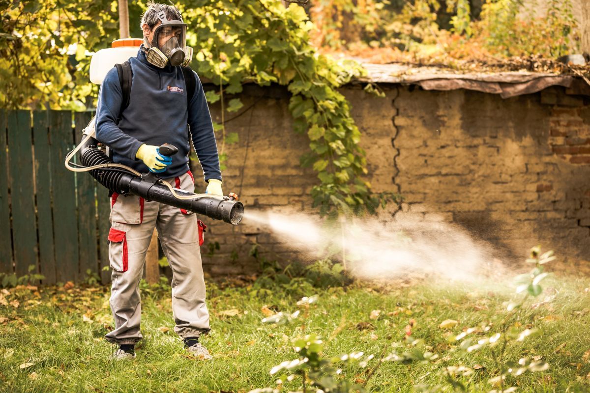 Sky Pictures © 2016