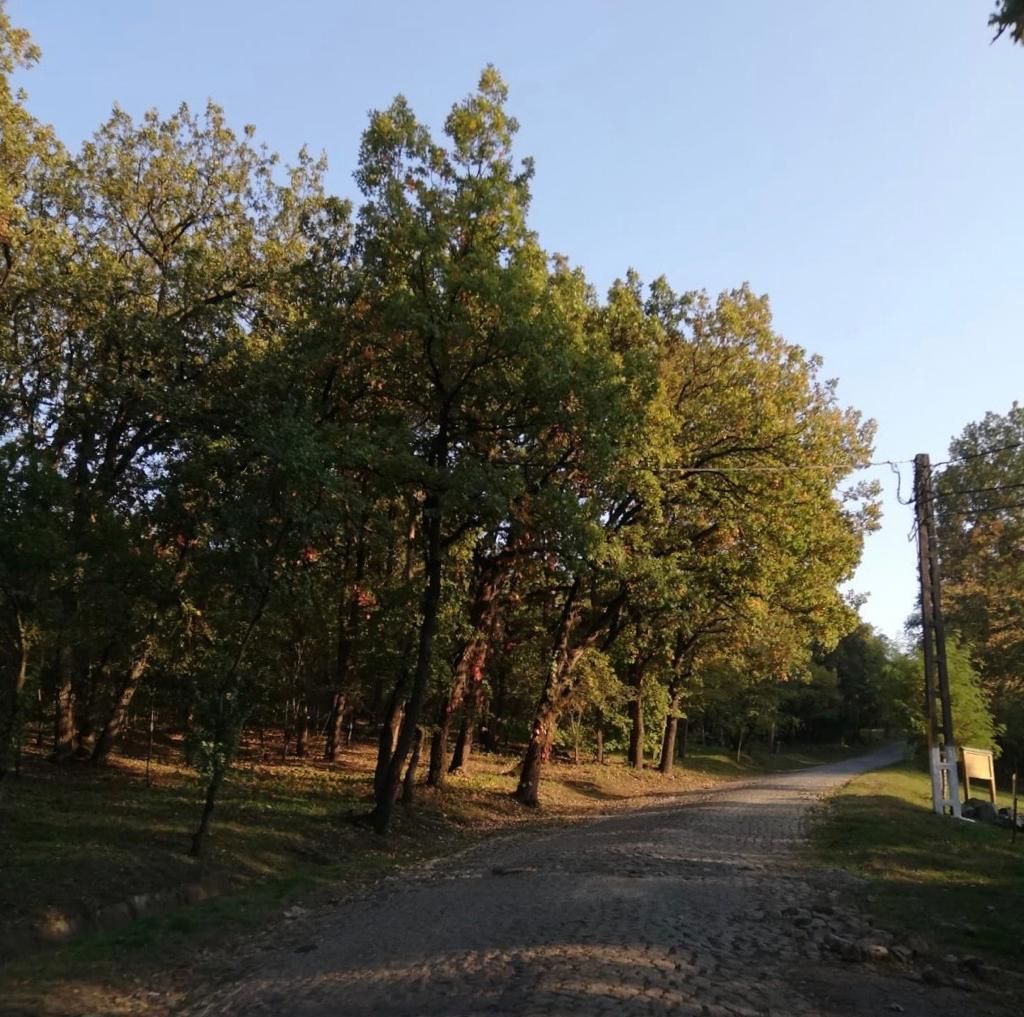 WhatsApp Image 2019-11-01 at 11.28.02