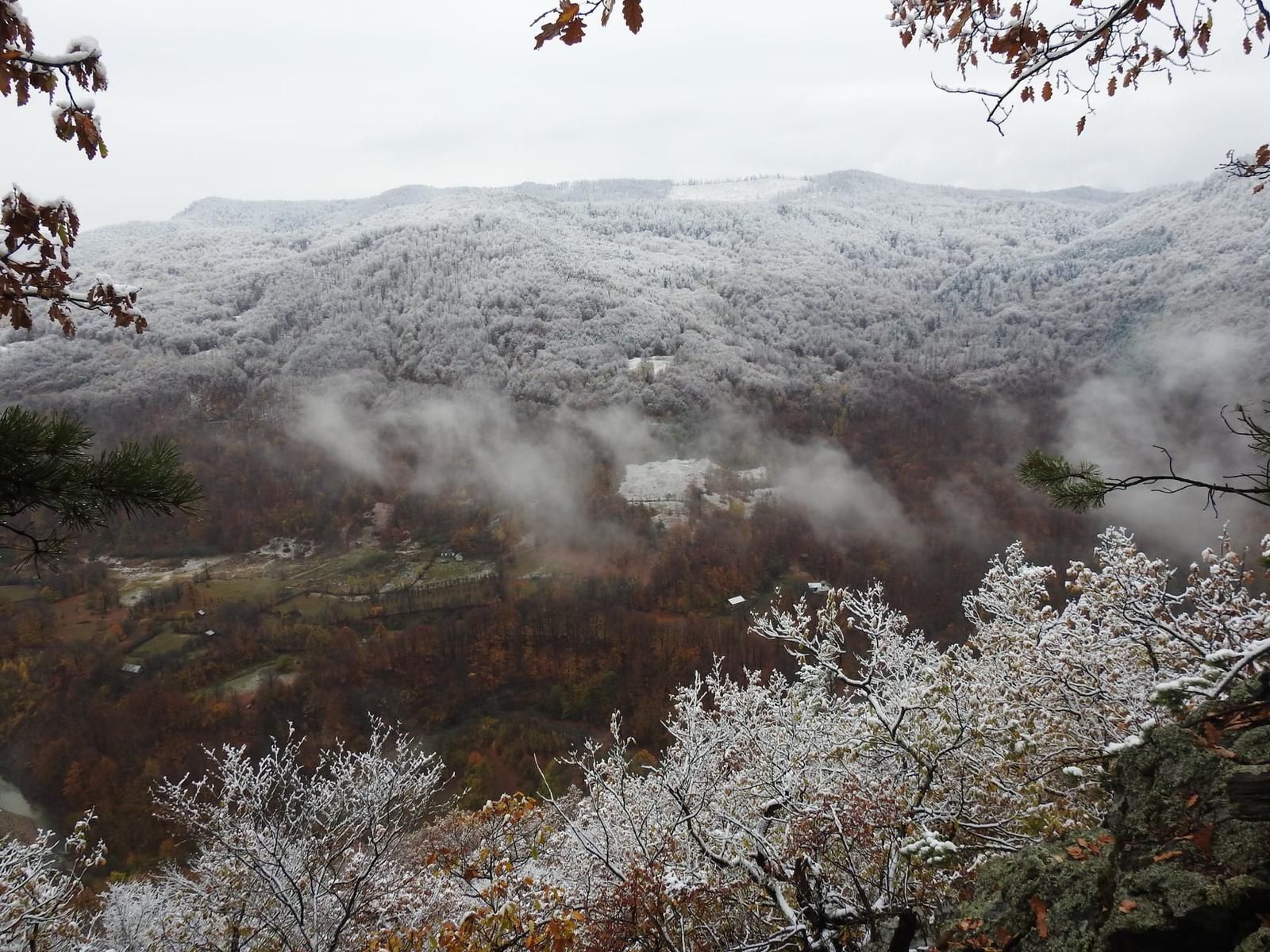 WhatsApp Image 2019-11-01 at 15.46.52