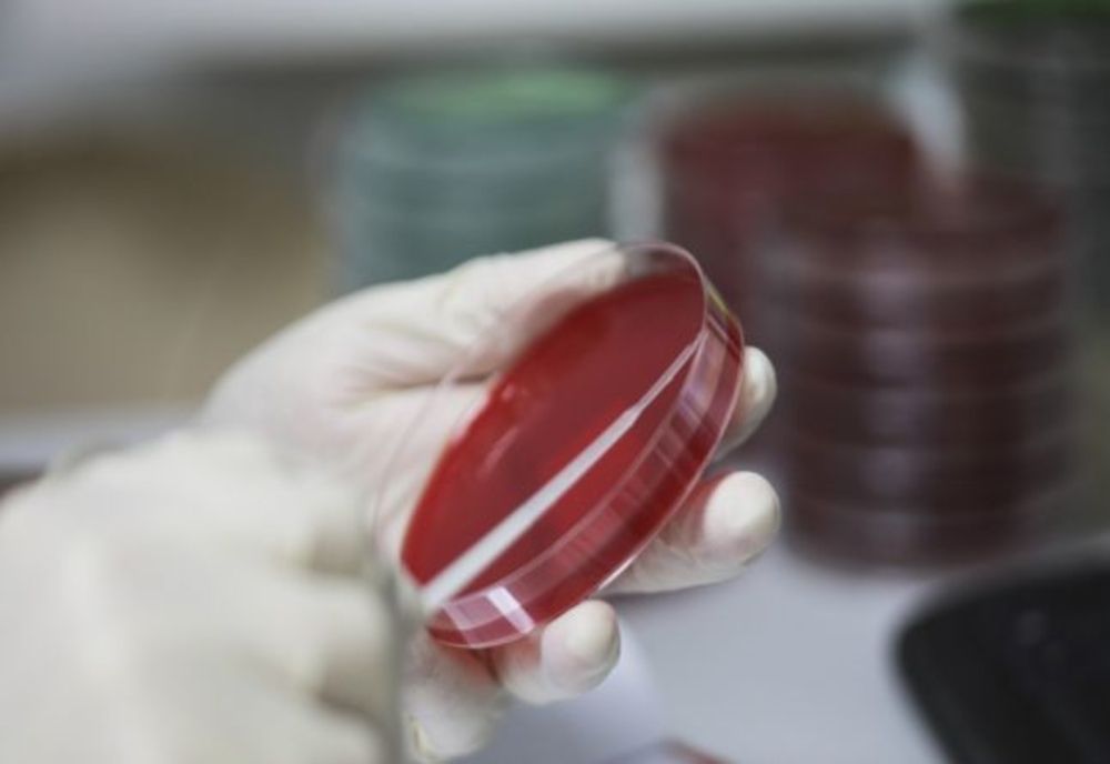 277 de cazuri în România