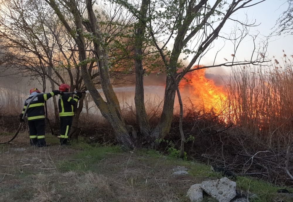 Incendii de vegetație extinse în zona Brateșului