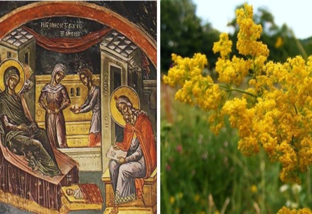 Sărbătoarea Nașterii Sfântului Ioan Botezătorul sau Sânzienele - ce tardiții se păstrează?