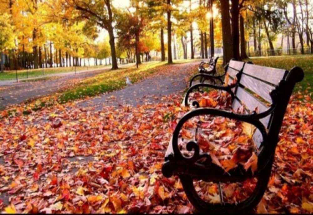 Parcul Rizer intră în administrarea Consiliului Județean