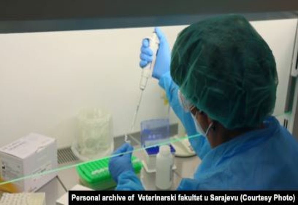 O femeie din Ivești, confirmată cu tulpina britanică de COVID-19