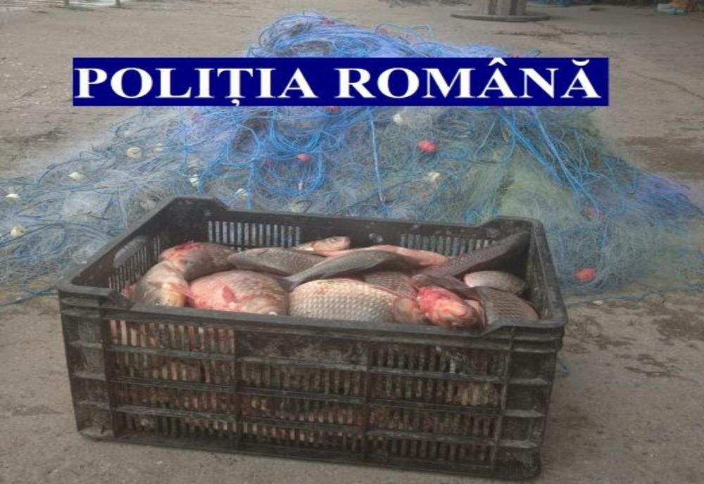 Percheziții în Galați într-un dosar de braconaj piscicol