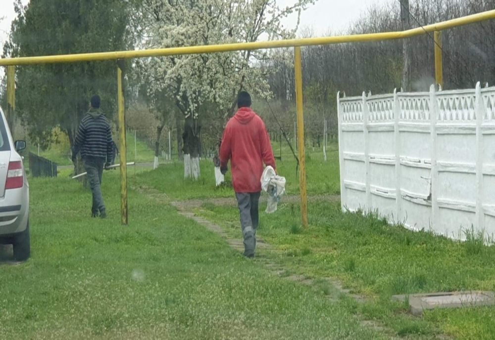 Câini aruncați într-o groapă de gunoi