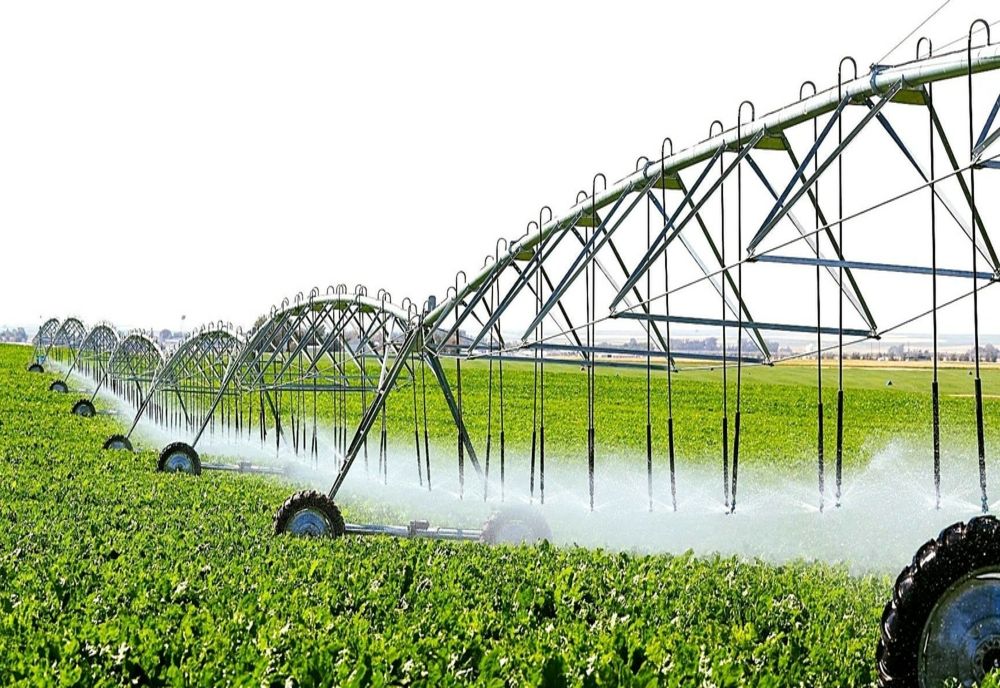 Mai mulți angajați ai ANIF Galați au fost concediați după ce s-a descoperit că primeau și pensie și salariu