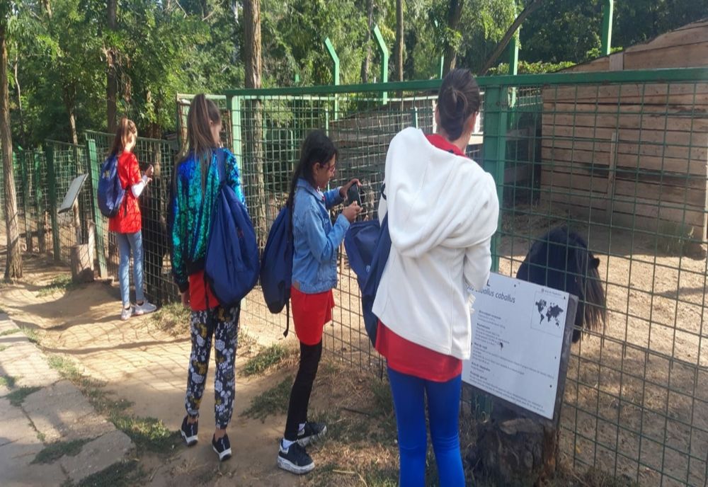 Cinci săptămâni de poveste 