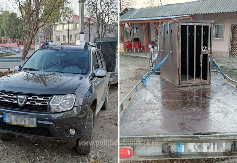Infracțiuni la regimul juridic al circulației rutiere, descoperite de polițiștii de frontieră gălățeni