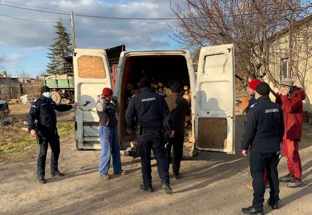 Brăilean depistat de jandarmii gălățeni în timp ce transporta 3 metri cubi de lemne , fără a deține documente legale