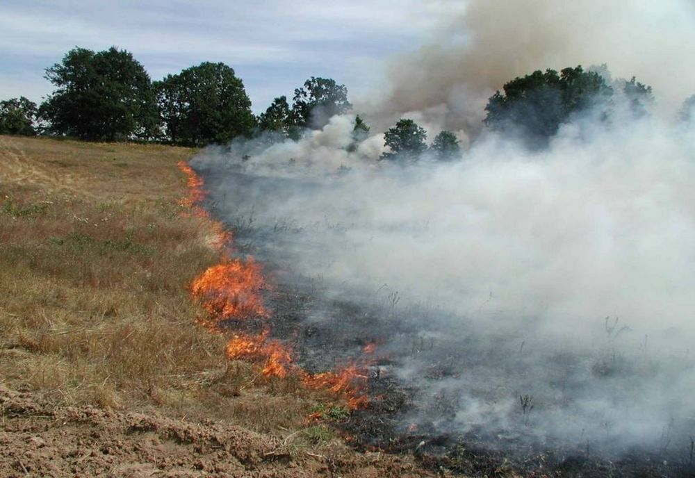 Arderea miriștilor constituie infracţiune şi se pedepseşte cu închisoare de la 3 luni la un an sau cu amendă penală de la 30.000 lei la 60.000 lei 