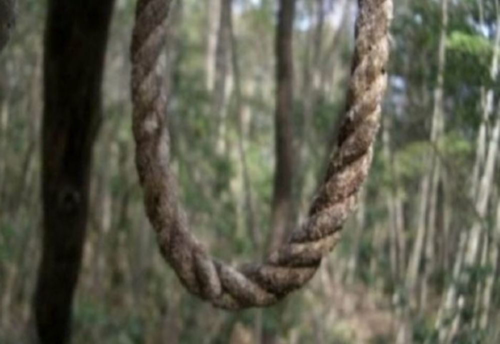 Găsit spânzurat în parc