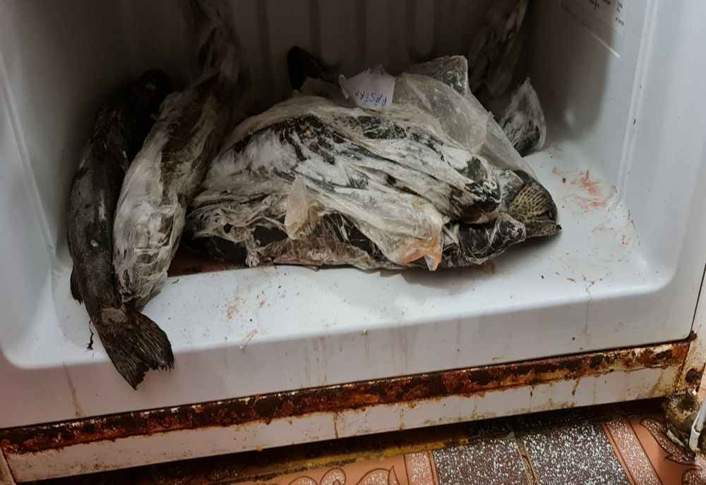 FOTO+VIDEO: Excremente de şoareci în căni şi mâncare mucegăită, într-un restaurant din municipiul Galați