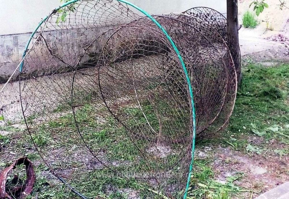 Infracțiuni de braconaj piscicol constatate de polițiștii de frontieră din cadrul Sectorului Poliției de Frontieră Foltești