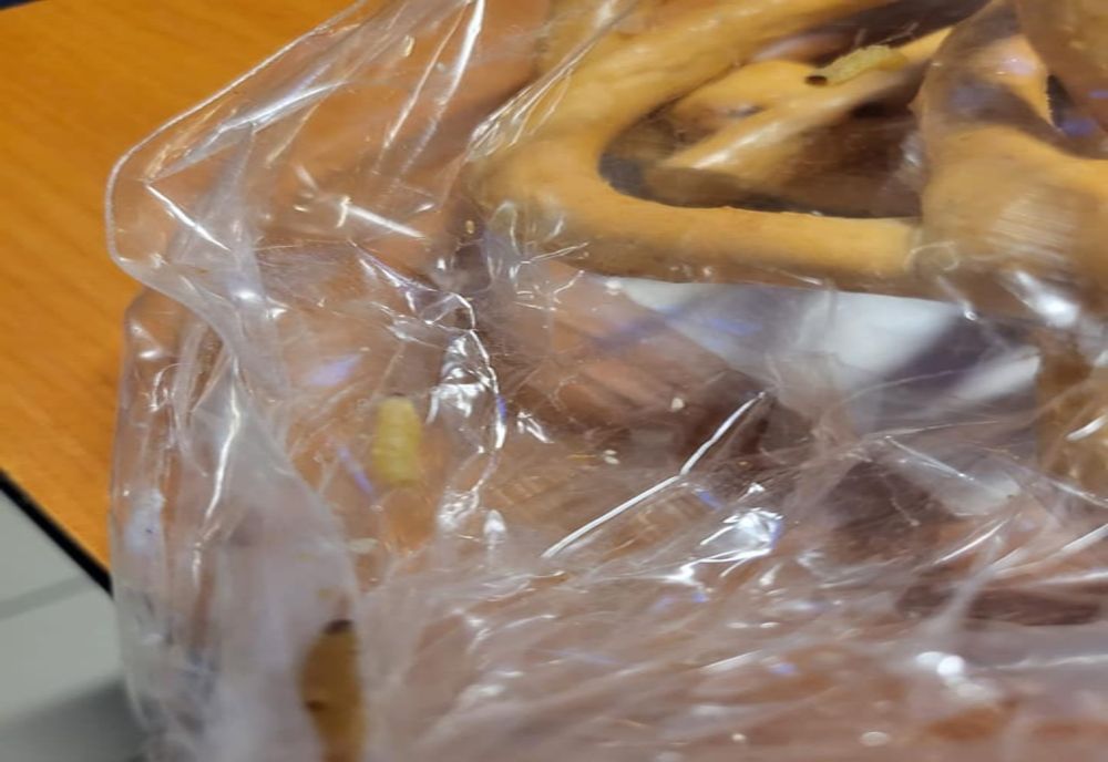 Amenzi în valoare de 15.000 de lei pentru firma producătoare a covrigeilor cu viermi comercializați într-un magazin din Galați