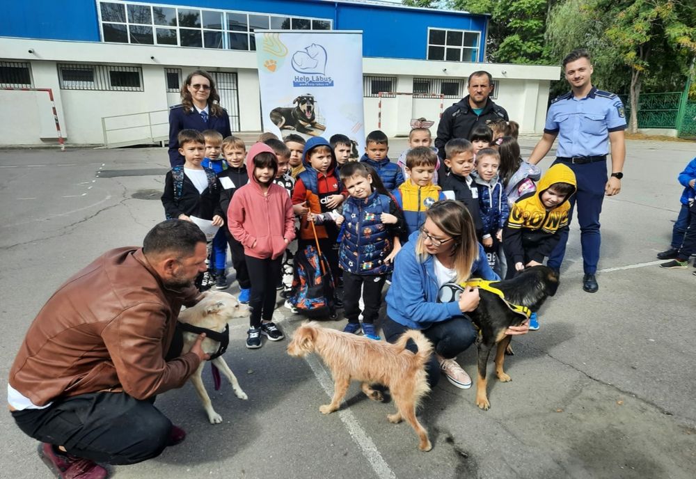 Activitate desfășurată de polițiștii Biroului pentru Protecția Animalelor și cei ai Biroului Siguranță Școlară, din cadrul I.P.J. Galați de Ziua Mondială a Animalelor