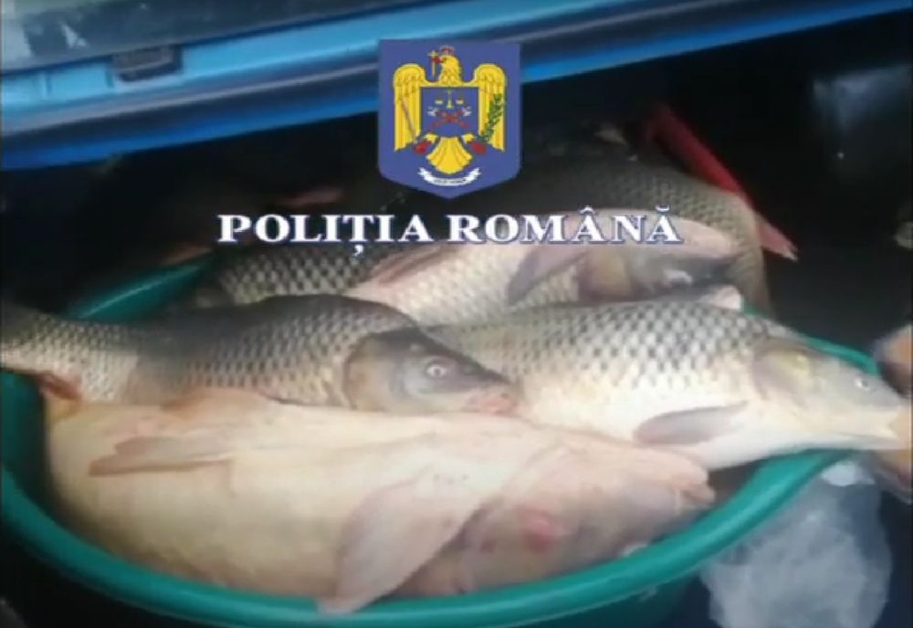 Un gălățean surpins în timp ce vindea într-un târg pește direct din autoturism