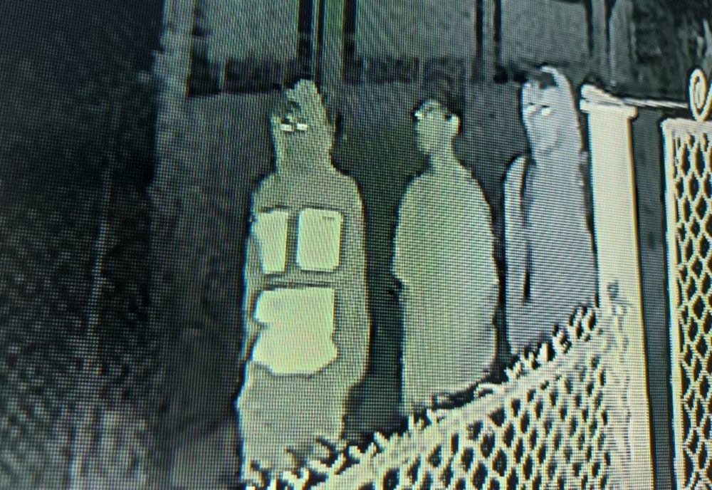 VIDEO Un primar oferă mii de euro recompensă pentru prinderea unor hoți