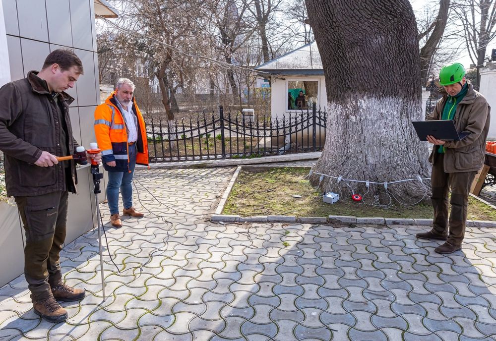 Teste privind sănătatea copacilor cu noul tomograf