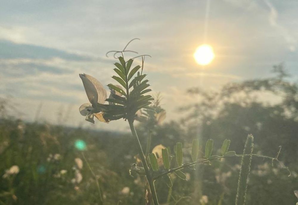 Prognoza meteo 27 mai. Instabilitate atmosferică accentuată în jumătatea estică a țării